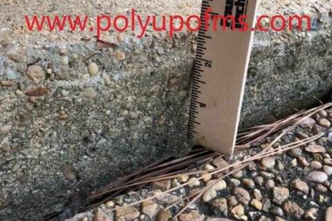 A ruler lies on the ground beside a concrete sidewalk, indicating a measurement or comparison with the surface.