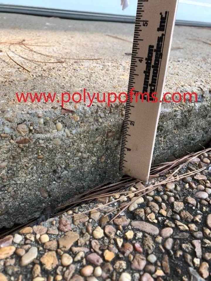 A ruler lies on the ground beside a concrete sidewalk, indicating a measurement or comparison with the surface.