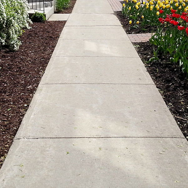 PolyUp-Foundation-694882554